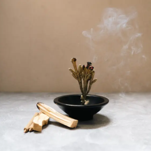 100%野生優質天然秘魯聖木手工捲線香聖木與甜棕櫚Set 5