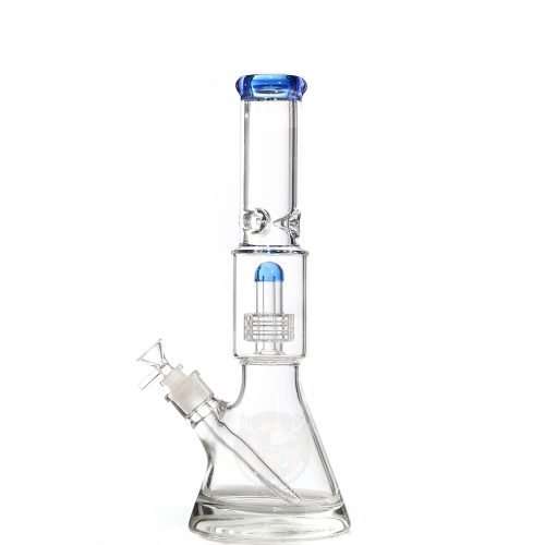38cm 淺藍吻水母
