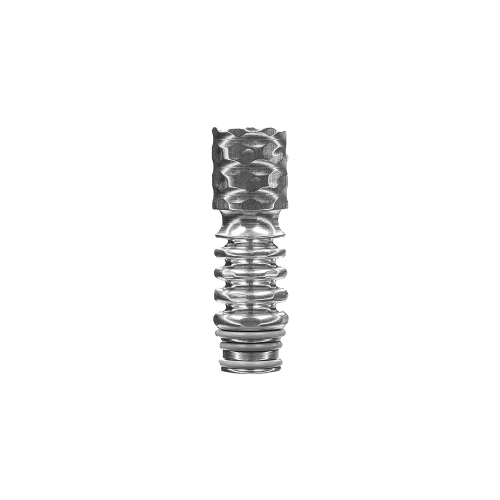 STAINLESS STEEL TIP (2021)