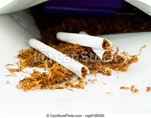 3分鐘教你如何捲煙-重點教學