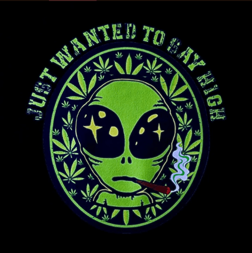 BIG ALIEN 重磅混紡連帽衫 Hoodie – 黑色